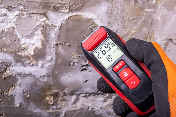 Mold Removal Process in Jackson, WI